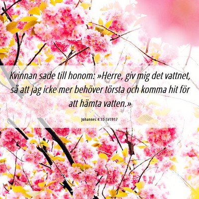 Picture 06 - Johannes 4:15 SV1917 - Kvinnan sade till honom: »Herre, giv mig det - Bible Verse Picture