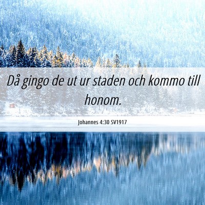 Picture 06 - Johannes 4:30 SV1917 - Då gingo de ut ur staden och kommo till - Bible Verse Picture