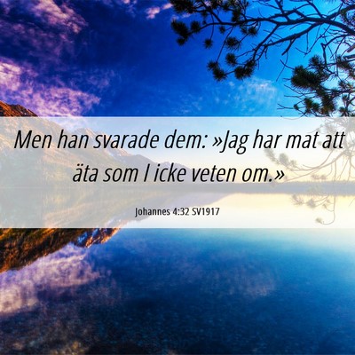 Picture 06 - Johannes 4:32 SV1917 - Men han svarade dem: »Jag har mat att äta som I - Bible Verse Picture