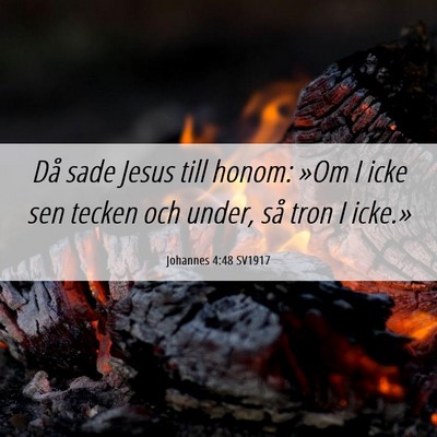 Picture 06 - Johannes 4:48 SV1917 - Då sade Jesus till honom: »Om I icke sen tecken - Bible Verse Picture