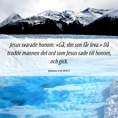 Picture 06 - Johannes 4:50 SV1917 - Jesus svarade honom: »Gå, din son får leva.» - Bible Verse Picture