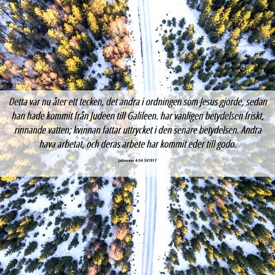 Picture 06 - Johannes 4:54 SV1917 - Detta var nu åter ett tecken, det andra i - Bible Verse Picture