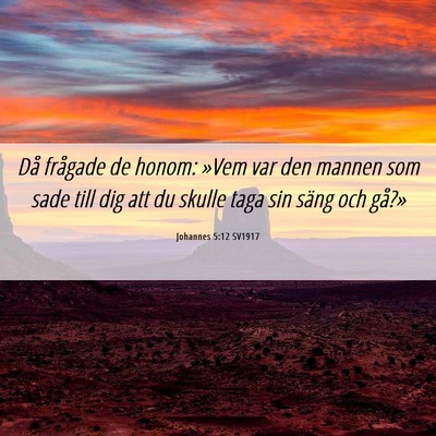 Picture 06 - Johannes 5:12 SV1917 - Då frågade de honom: »Vem var den mannen som - Bible Verse Picture