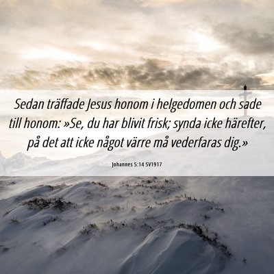 Picture 06 - Johannes 5:14 SV1917 - Sedan träffade Jesus honom i helgedomen och sade - Bible Verse Picture