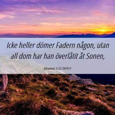 Picture 06 - Johannes 5:22 SV1917 - Icke heller dömer Fadern någon, utan all dom - Bible Verse Picture