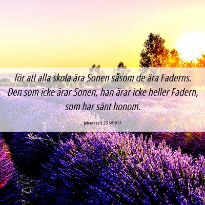 Picture 06 - Johannes 5:23 SV1917 - för att alla skola ära Sonen såsom de ära - Bible Verse Picture