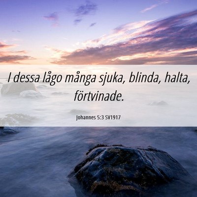 Picture 06 - Johannes 5:3 SV1917 - I dessa lågo många sjuka, blinda, halta, - Bible Verse Picture