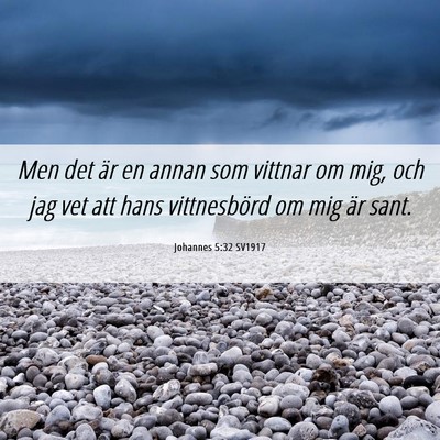 Picture 06 - Johannes 5:32 SV1917 - Men det är en annan som vittnar om mig, och jag - Bible Verse Picture