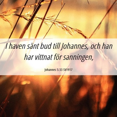Picture 06 - Johannes 5:33 SV1917 - I haven sänt bud till Johannes, och han har - Bible Verse Picture