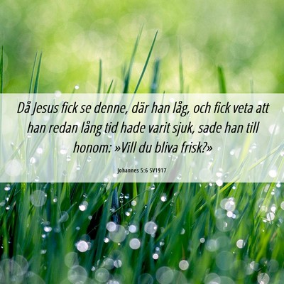 Picture 06 - Johannes 5:6 SV1917 - Då Jesus fick se denne, där han låg, och fick - Bible Verse Picture