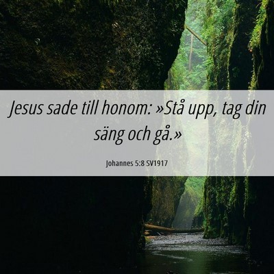 Picture 06 - Johannes 5:8 SV1917 - Jesus sade till honom: »Stå upp, tag din säng - Bible Verse Picture