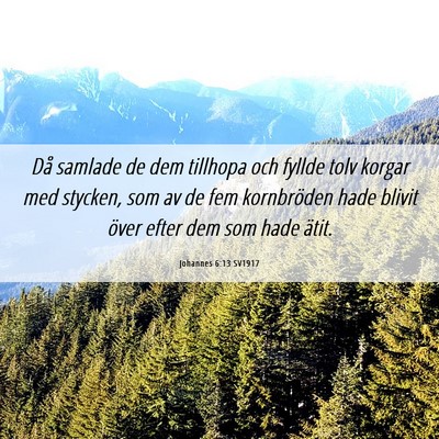 Picture 06 - Johannes 6:13 SV1917 - Då samlade de dem tillhopa och fyllde tolv - Bible Verse Picture