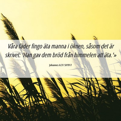 Picture 06 - Johannes 6:31 SV1917 - Våra fäder fingo äta manna i öknen, såsom - Bible Verse Picture