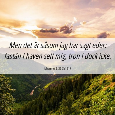 Picture 06 - Johannes 6:36 SV1917 - Men det är såsom jag har sagt eder: fastän I - Bible Verse Picture