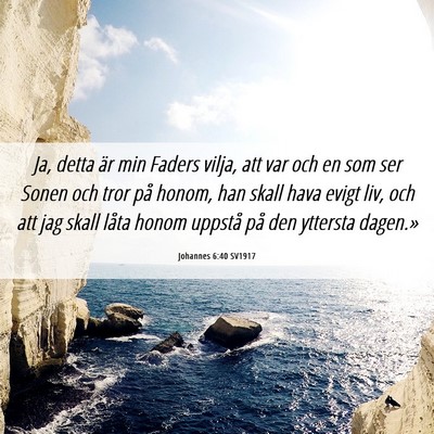 Picture 06 - Johannes 6:40 SV1917 - Ja, detta är min Faders vilja, att var och en - Bible Verse Picture