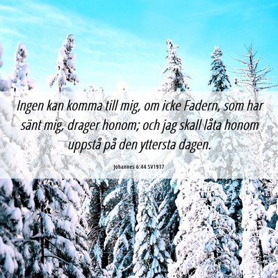 Picture 06 - Johannes 6:44 SV1917 - Ingen kan komma till mig, om icke Fadern, som har - Bible Verse Picture