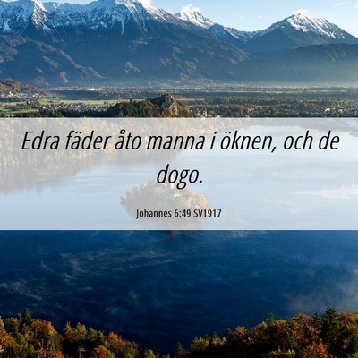 Picture 06 - Johannes 6:49 SV1917 - Edra fäder åto manna i öknen, och de - Bible Verse Picture