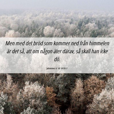 Picture 06 - Johannes 6:50 SV1917 - Men med det bröd som kommer ned från himmelen - Bible Verse Picture