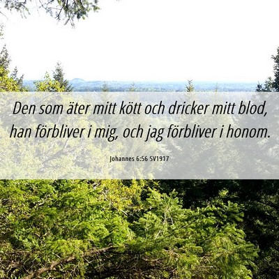 Picture 06 - Johannes 6:56 SV1917 - Den som äter mitt kött och dricker mitt blod, - Bible Verse Picture