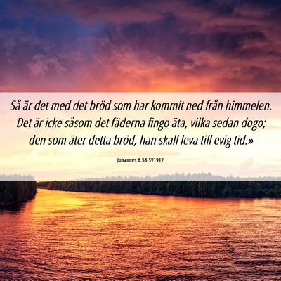 Picture 06 - Johannes 6:58 SV1917 - Så är det med det bröd som har kommit ned - Bible Verse Picture
