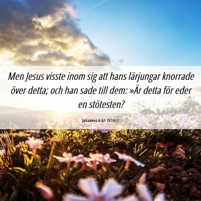 Picture 06 - Johannes 6:61 SV1917 - Men Jesus visste inom sig att hans lärjungar - Bible Verse Picture