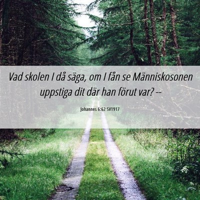 Picture 06 - Johannes 6:62 SV1917 - Vad skolen I då säga, om I fån se - Bible Verse Picture
