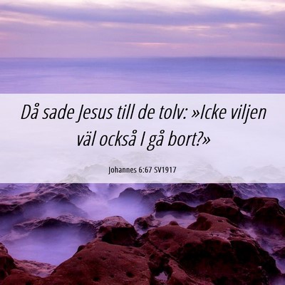 Picture 06 - Johannes 6:67 SV1917 - Då sade Jesus till de tolv: »Icke viljen väl - Bible Verse Picture