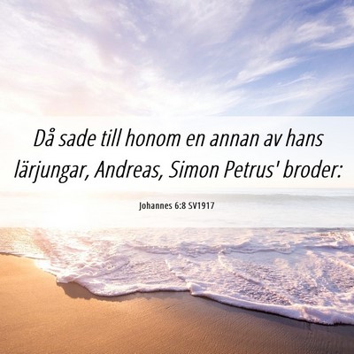 Picture 06 - Johannes 6:8 SV1917 - Då sade till honom en annan av hans lärjungar, - Bible Verse Picture