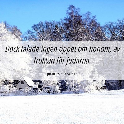 Picture 06 - Johannes 7:13 SV1917 - Dock talade ingen öppet om honom, av fruktan - Bible Verse Picture