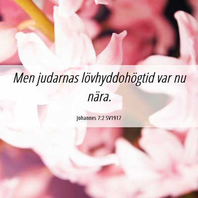 Picture 06 - Johannes 7:2 SV1917 - Men judarnas lövhyddohögtid var nu - Bible Verse Picture