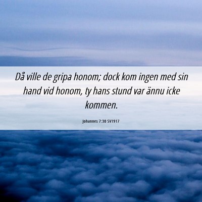 Picture 06 - Johannes 7:30 SV1917 - Då ville de gripa honom; dock kom ingen med sin - Bible Verse Picture
