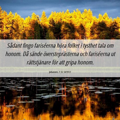 Picture 06 - Johannes 7:32 SV1917 - Sådant fingo fariséerna höra folket i tysthet - Bible Verse Picture