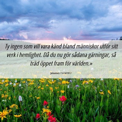 Picture 06 - Johannes 7:4 SV1917 - Ty ingen som vill vara känd bland människor - Bible Verse Picture