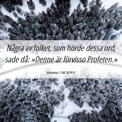 Picture 06 - Johannes 7:40 SV1917 - Några av folket, som hörde dessa ord, sade då: - Bible Verse Picture