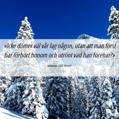 Picture 06 - Johannes 7:51 SV1917 - »Icke dömer väl vår lag någon, utan att man - Bible Verse Picture
