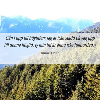 Picture 06 - Johannes 7:8 SV1917 - Gån I upp till högtiden; jag är icke stadd på - Bible Verse Picture