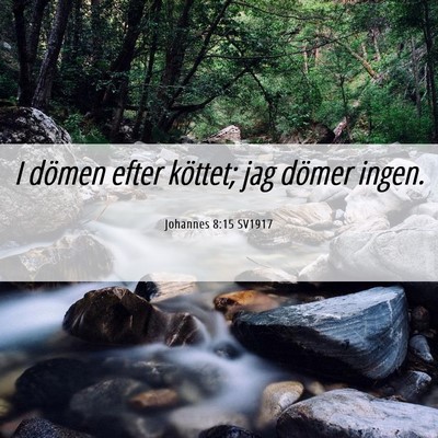 Picture 06 - Johannes 8:15 SV1917 - I dömen efter köttet; jag dömer - Bible Verse Picture
