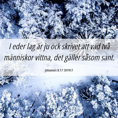 Picture 06 - Johannes 8:17 SV1917 - I eder lag är ju ock skrivet att vad två - Bible Verse Picture