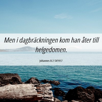 Picture 06 - Johannes 8:2 SV1917 - Men i dagbräckningen kom han åter till - Bible Verse Picture