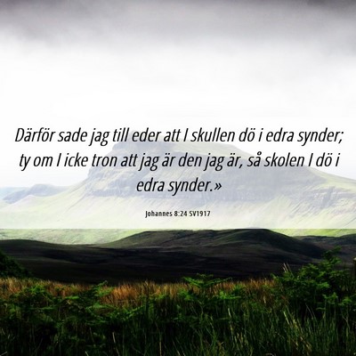 Picture 06 - Johannes 8:24 SV1917 - Därför sade jag till eder att I skullen dö i - Bible Verse Picture