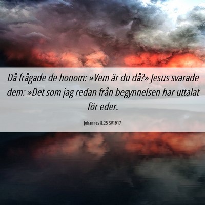 Picture 06 - Johannes 8:25 SV1917 - Då frågade de honom: »Vem är du då?» Jesus - Bible Verse Picture