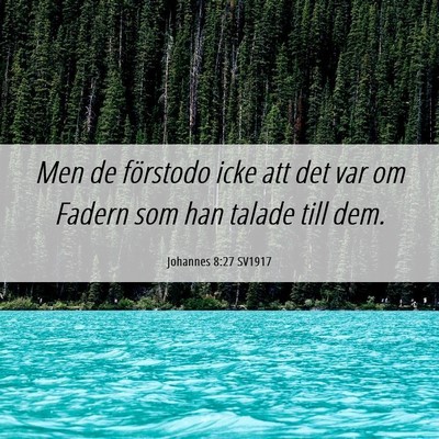 Picture 06 - Johannes 8:27 SV1917 - Men de förstodo icke att det var om Fadern som - Bible Verse Picture