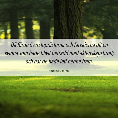 Picture 06 - Johannes 8:3 SV1917 - Då förde översteprästerna och fariséerna dit - Bible Verse Picture