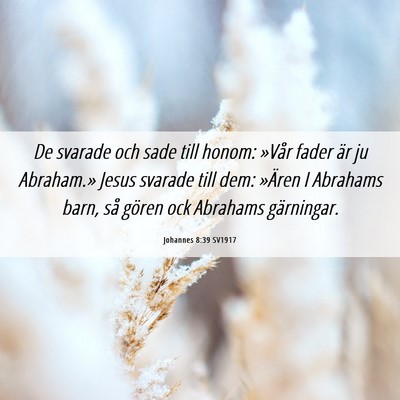 Picture 06 - Johannes 8:39 SV1917 - De svarade och sade till honom: »Vår fader är - Bible Verse Picture