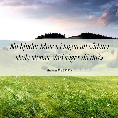 Picture 06 - Johannes 8:5 SV1917 - Nu bjuder Moses i lagen att sådana skola stenas. - Bible Verse Picture