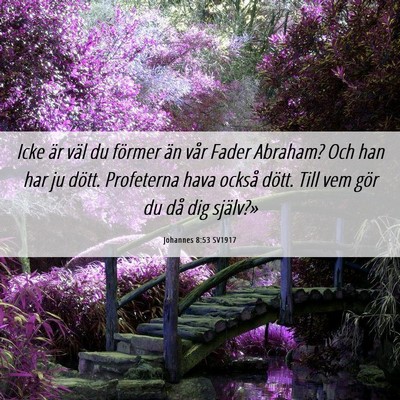 Picture 06 - Johannes 8:53 SV1917 - Icke är väl du förmer än vår Fader Abraham? - Bible Verse Picture