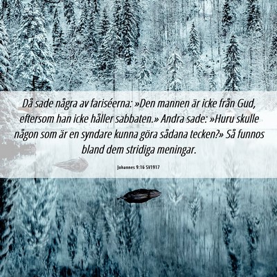Picture 06 - Johannes 9:16 SV1917 - Då sade några av fariséerna: »Den mannen är - Bible Verse Picture