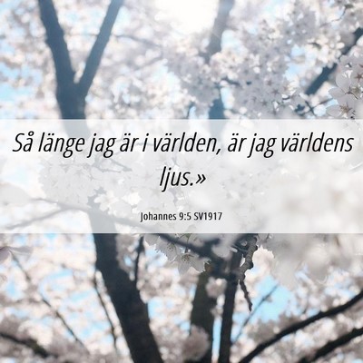 Picture 06 - Johannes 9:5 SV1917 - Så länge jag är i världen, är jag världens - Bible Verse Picture