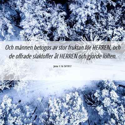 Picture 06 - Jona 1:16 SV1917 - Och männen betogos av stor fruktan för HERREN, - Bible Verse Picture