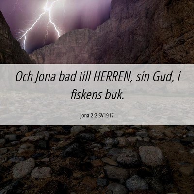 Picture 06 - Jona 2:2 SV1917 - Och Jona bad till HERREN, sin Gud, i fiskens - Bible Verse Picture